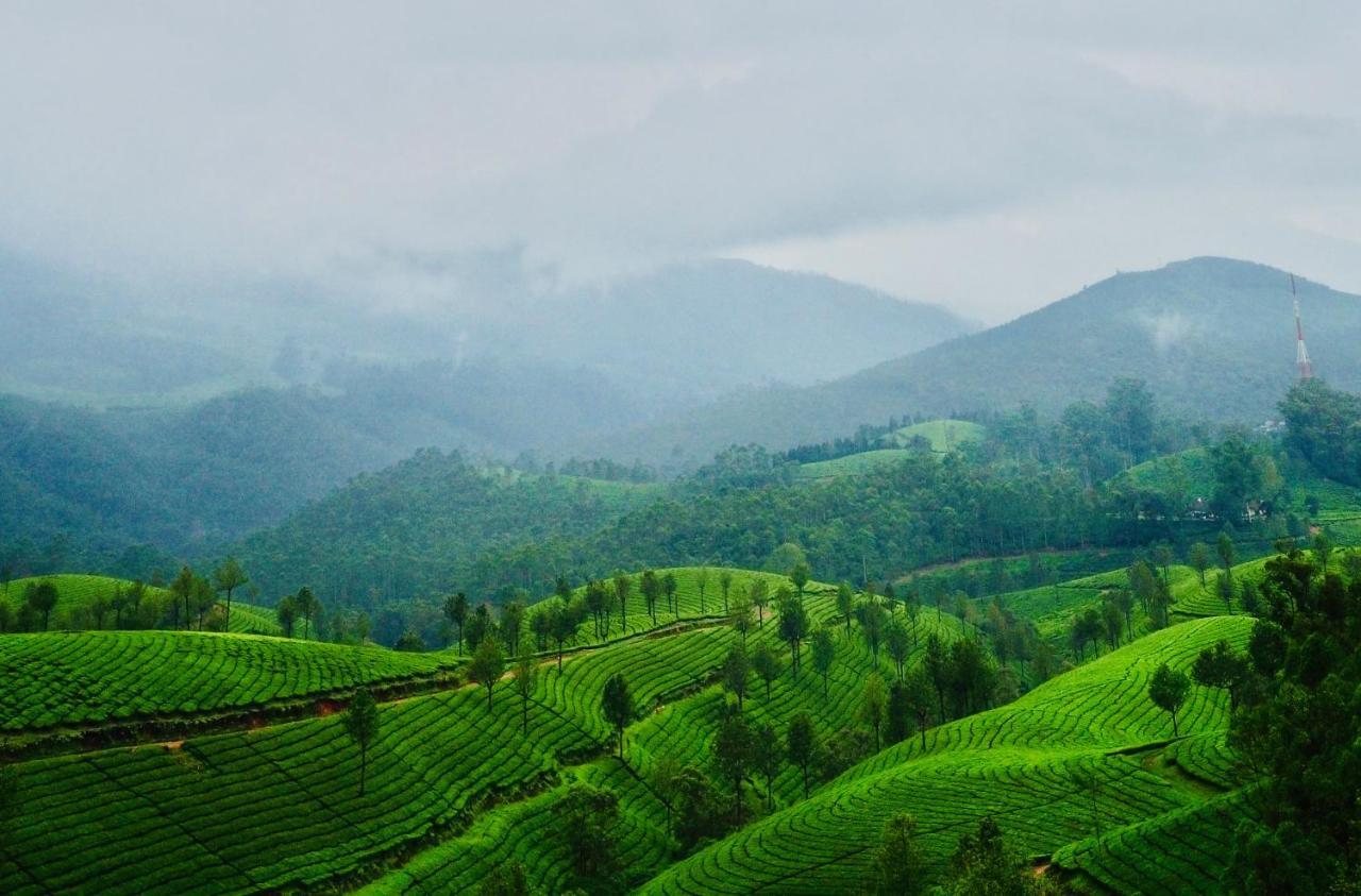 Lockhart Bungalow Munnar - A Cgh Earth Saha Experience Eksteriør billede