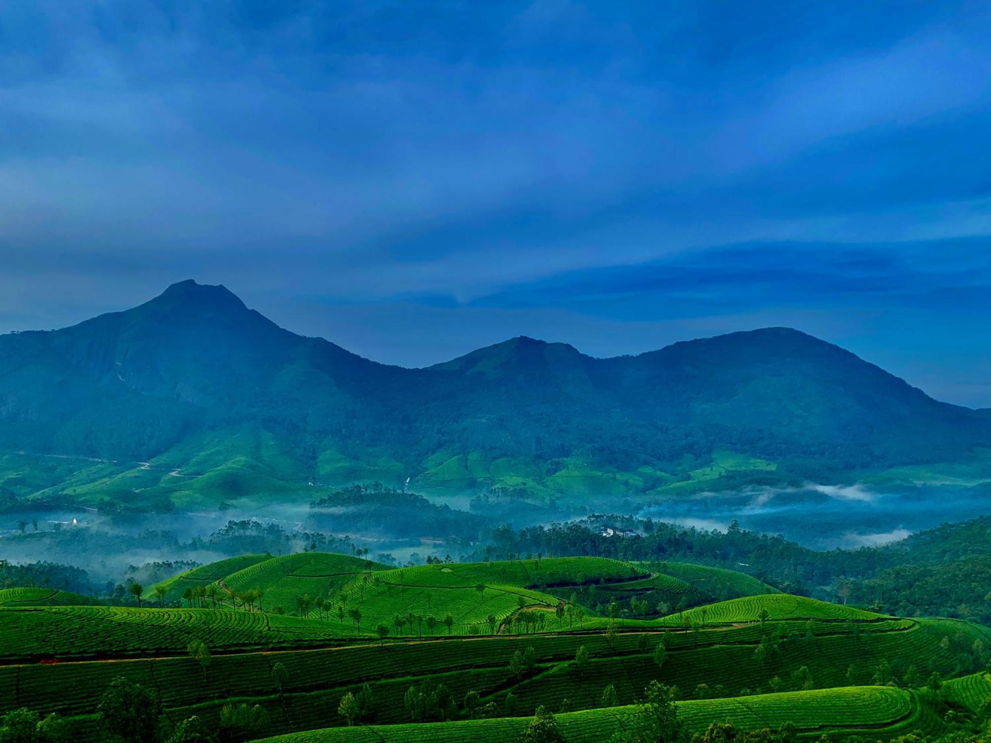 Lockhart Bungalow Munnar - A Cgh Earth Saha Experience Eksteriør billede
