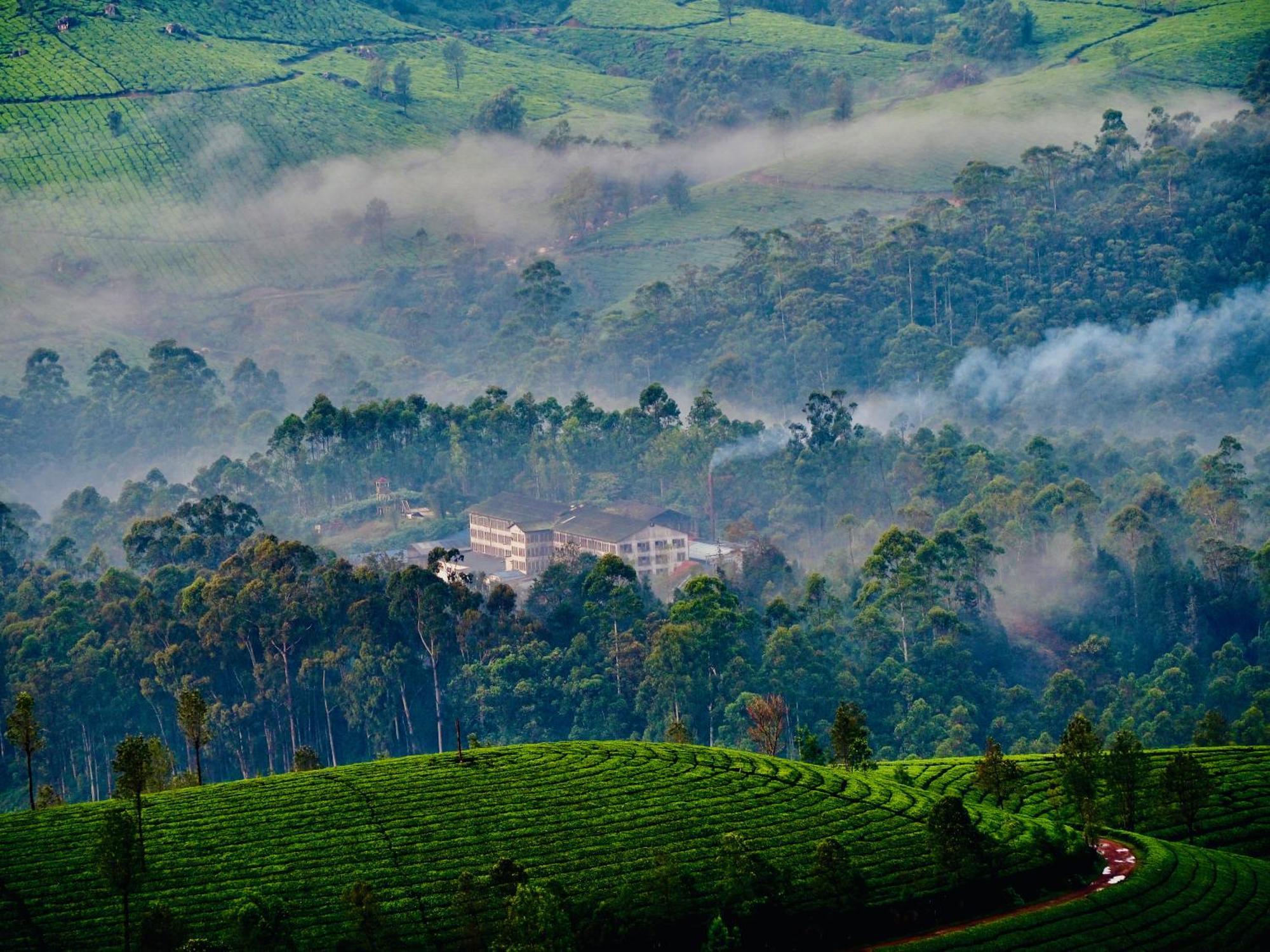 Lockhart Bungalow Munnar - A Cgh Earth Saha Experience Eksteriør billede