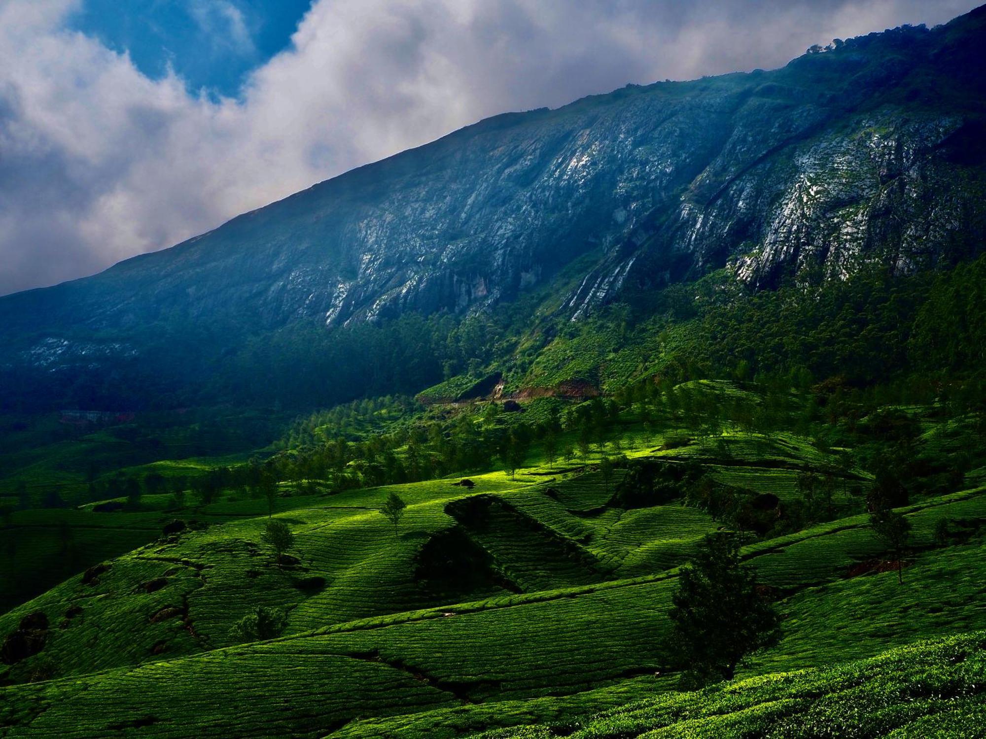 Lockhart Bungalow Munnar - A Cgh Earth Saha Experience Eksteriør billede